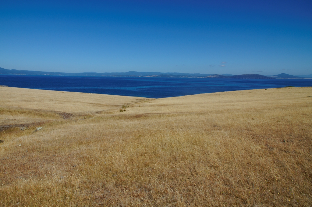 10 - Maria Island NP (3).jpg